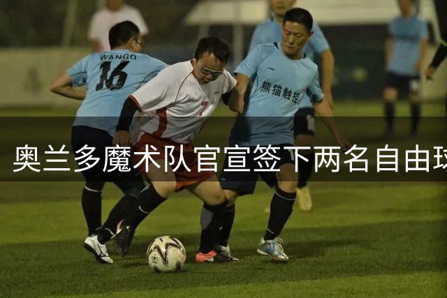 奥兰多魔术队官宣签下两名自由球员戴维森与布兰纳姆